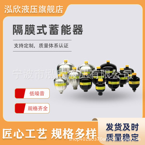 Accumulateur à diaphragme Hongxin, cylindre soudé en acier pour excavatrice HX002 - Product Image 3
