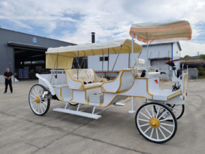 Nuevo Modelo de Carroza Turística Blanca de 5 Plazas con Toldo, Alto Rendimiento y Estabilidad para Bodas y Recorridos Turísticos - Product Image 2