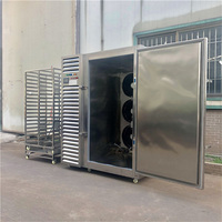 Cryogene snelvriesinstallatie voor vis, fruit & groenten met temperatuurregeling van -80 tot 0°C, koelmiddel R404A+R23