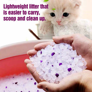 Vente en gros Litière pour <span class=keywords><strong>chat</strong></span> Sable OEM Gel de silice <span class=keywords><strong>cristal</strong></span> bon marché Caractéristique durable Acheter Litière pour <span class=keywords><strong>chat</strong></span> Fournisseurs - Product Image 5