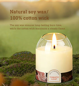 Factory Supplier <strong>Tomato</strong> Leaf Notes Aromatherapy <strong>Candle</strong> Jar <strong>Candles</strong> Scented Luxury Private Label Scented <strong>Candle</strong> - Product Image 2