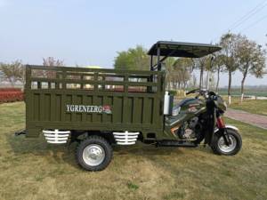 Triciclo de servicio pesado de 250cc con <span class=keywords><strong>3</strong></span> ruedas, cuerpo abierto, eléctrico, motorizado, de pasajeros y carga, gran oferta en China - Product Image 6