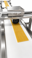 Machine extrudeuse automatique de nouilles en acier inoxydable de qualité alimentaire industrielle, moteur pour ligne de production de nouilles fraîches, 250 kg/h