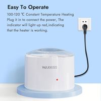 Marque privée 200ml Mini chauffe-cire UK US Plug 40w Wax Warmer Machine Personnaliser Logo Pot de cire pour les ventes