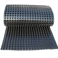 Planche géocomposite de drainage avec couche filtrante en géotextile non tissé, feuille alvéolée en HDPE pour système de drainage des eaux souterraines