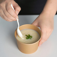 Ensemble de couverts en fécule de maïs (fourchette, cuillère, couteau) est emballé individuellement et convient pour les fêtes, les repas légers, les gâteaux, etc.