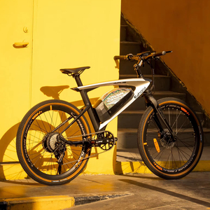 Bicicleta Híbrida de Montaña y Ciudad Eahora Apus Romeo 48v 20ah, 35 km/h, Largo Alcance, con Neumáticos Gruesos de 26*1.95 Pulgadas y Cuadro de Acero - Product Image 1