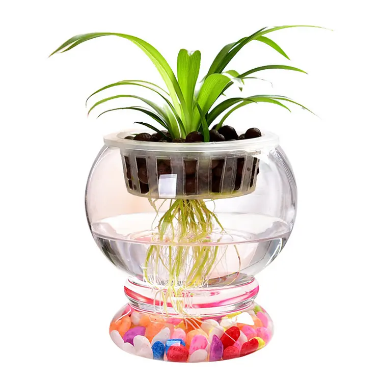 DDA323-maceta moderna de vidrio transparente hidropónico para Decoración de mesa del hogar, florero de plafón verde, bola, jarra, macetas de plantas