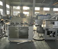 Automatische die-gesmeed snoepgoedmachine voor de productielijn van platte fruitlollies