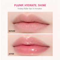 Lip Gloss Natural Non-Stick untuk Wanita dengan Desain Unik Kemasan Buah Private Label untuk Riasan Sehari-hari
