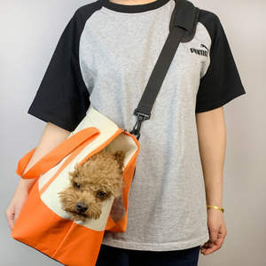 Hafif kare su geçirmez naylon örgü fermuar eğlence evcil hayvan taşıyıcı torba çok amaçlı taşınabilir küçük köpek taşıma - Product Image 1
