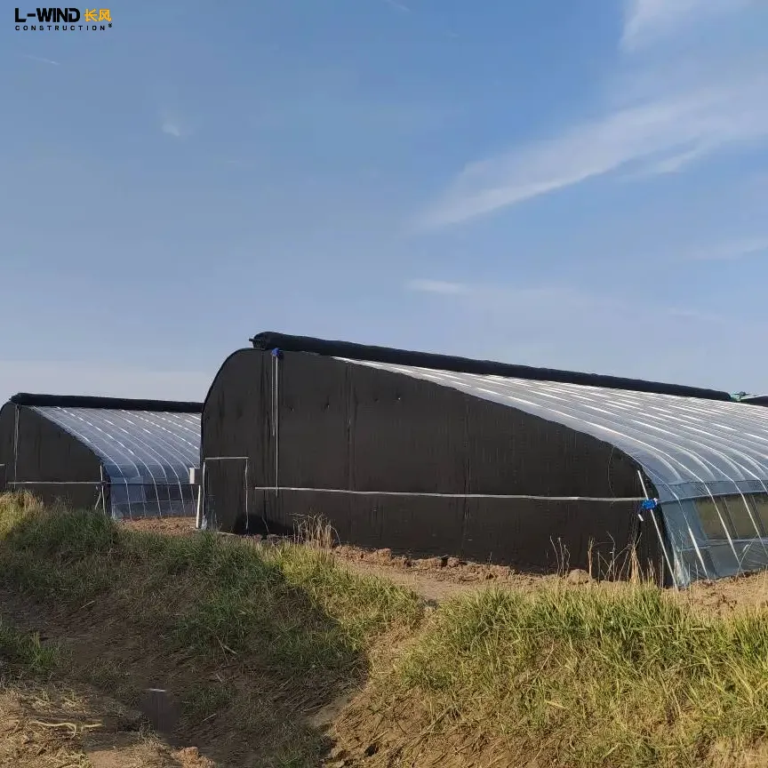 태양열 건조 시스템 수동 태양열 온실 터널 온실 단일 스팬 그린 하우스