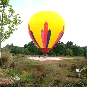 Offre Spéciale Parc D'attractions <span class=keywords><strong>Jeux</strong></span> <span class=keywords><strong>De</strong></span> Sport Gonflable Ballon À Air Chaud Pour La Publicité - Product Image 5