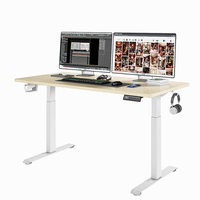 Bureau assis-debout électrique moderne et minimaliste de luxe à double moteur, en métal, ergonomique, réglable en hauteur, facile à assembler, mobilier de bureau