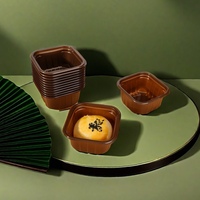 Emballages en plastique PET/PP de qualité alimentaire écologiques personnalisés, plateaux carrés de 0,3 mm d'épaisseur pour gâteaux, gâteaux de lune, desserts - Marque TIANCHOU