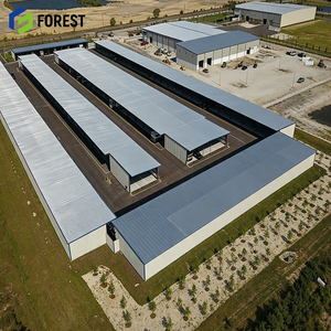 Estructura de Acero Estructural Personalizada para Depósito Logístico, Almacén Prefabricado, Edificio Industrial Modular de Alta Resistencia - Product Image 1