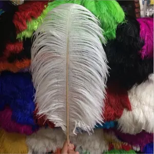 Variety Of Soft And Fluffy Wholesale artificial ostrich feathers 