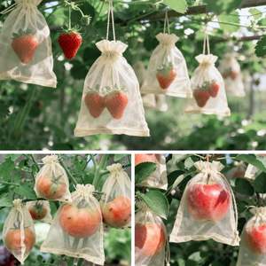 שקיות אורגנזה בצבע בז' שקוף, שקיות מתנה אלגנטיות למתנות חתונה, תכשיטים, ממתקים, קישוטי מסיבות ויצירה - Product Image 5