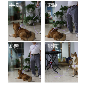 2022 New Release All-in-One Dog Leash Handsfree Cotton <strong>Rope</strong> with 2 Handles <strong>Breakaway</strong> Nylon and Polyester Lead Colorful - Product Image 5