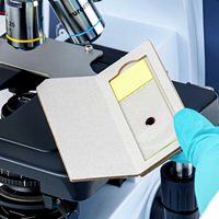 Sturdy Lab Microscope Slide Holders Rigid Cardboard Slide Mailer for 1 Mounted Specimen Shipping Paperboard Type
