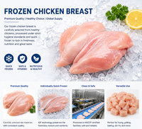 Filetes de pechuga de pollo sin piel sin hueso congelados de alta calidad buen precio compatible con Halal