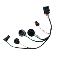 Kabel Harness Mobil Grosir Multi Konektor dengan Selubung Anyaman untuk Perbaikan Mesin Mobil, Pasokan Massal
