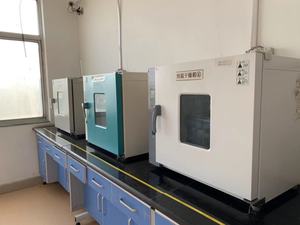 Manufacturer Supply Vital Wheat <strong>Gluten</strong> Flour 82% - Product Image 2