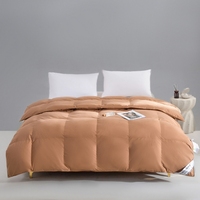 Couette plate en polyester rembourrée, imperméable, écologique, quatre saisons, nouveau style 2025
