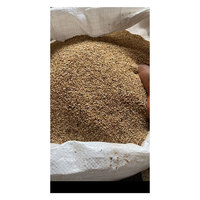 Vente en gros de graines de sésame blanc de qualité exceptionnelle du Burkina Faso, sac de 20 kg