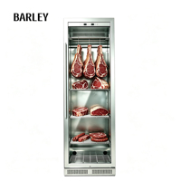 Réfrigérateur congélateur électrique en acier inoxydable avec système UVC et sans givre pour vieillissement de la viande (hôtels et usage domestique)