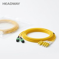 Câble de brassage fibre optique 16 cœurs OS2 SM MPO vers LC Fan-Out LSZH 2x8 8xLC, haute vitesse 100G, 50cm