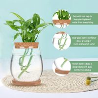 Aquarium élégant pour poissons en verre avec couvercle en bois Betta Fish Bowl et station de propagation des plantes hydroponiques