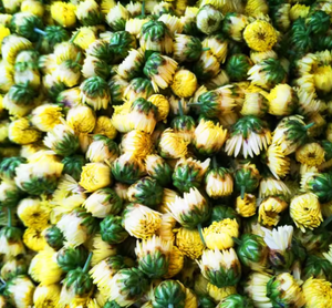 Hoa Cúc Bột Hoa Cúc <span class=keywords><strong>Anthemis</strong></span> <span class=keywords><strong>Nobilis</strong></span> chiết xuất hoa - Product Image 3