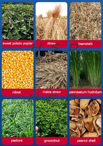 Nouvelle arrivée : Broyeur pneumatique de céréales, moulin à <span class=keywords><strong>marteaux</strong></span> avancé pour la transformation des aliments agricoles - Product Image 3