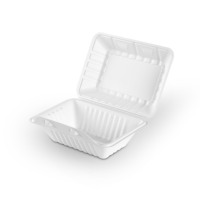 Contenitore per Alimenti a 2 Scomparti 9.3*6.3 Pollici, Scatola Bento per Ristoranti, Contenitori Usa e Getta per Pasti da Asporto
