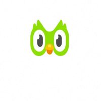 Cuenta Premium Duolingo Pro Edu, 1 Año, Aplicable en Todo el Mundo, Activa Tu Propia Cuenta