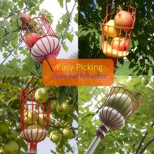 Outils de cueillette pour ferme, jardin et verger : cueilleur manuel robuste pour pommes, oranges, châtaignes, citrons, poires, mangues – Panier de cueillette - Product Image 6