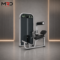 Équipement de fitness de haute qualité MRD Commercial : Machine d'extension dorsale abdominale pour l'entraînement du tronc, idéale pour les salles de sport ou la maison