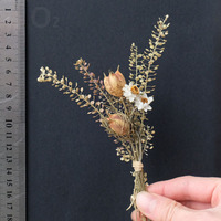 Petit bouquet de fleurs de gypsophile séchées naturelles, décoration éternelle pour mariage, remise de diplôme, broche, enveloppe, invitation, marque-page, cadeau