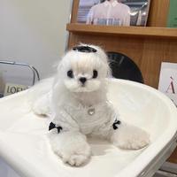 Ensemble de robe de princesse élégante pour chien, jupe à bretelles en dentelle à volants avec broche diamant