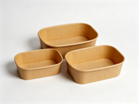 Bol à salade carré en bagasse de canne à sucre, biodégradable et compostable, design Villeroy & Boch, vente en gros
