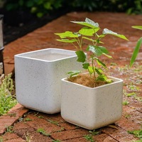 Carré Magnésium Boue Ciment Pot De Fleur Nordique Grand Diamètre Simple Carré Pot Dragon Sang Arbre Monstre Bambou Plante Verte
