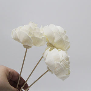 Difusores de láminas para el hogar Florero de lavanda decoración del hogar Difusor de fragancia de <span class=keywords><strong>eucalipto</strong></span> Botella difusora de láminas de cerámica - Product Image 6