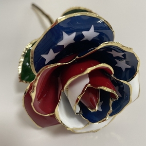 Decorazione regalo noi stampa bandiera immersa fiore eterno vera rosa con supporto sacchetto regalo certificato - Product Image 5