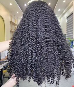 Raw Indian Hair Vendors Unprocessed Burmese Curly Hair Italy Curly with Closure Weave Bundles Extension Glueless Wigs Human Hair