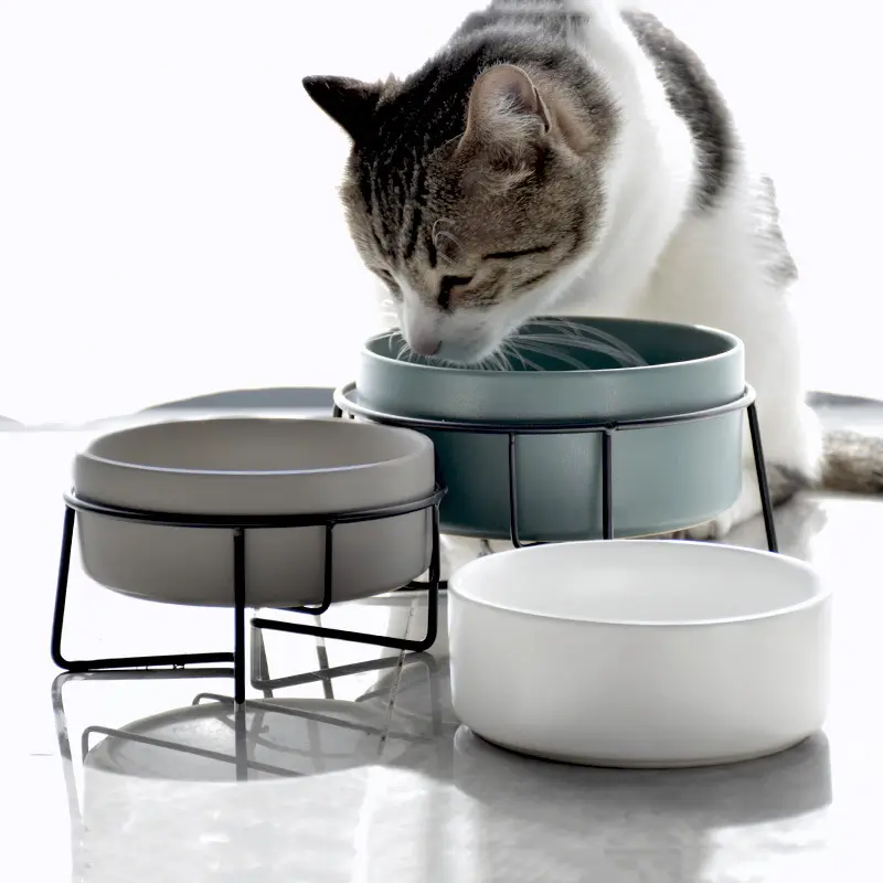 Neuankömmling Runde Form Matt Mehrfarbig Haustier Fütterung schale Keramik Katzenfutter Haustier Schüssel Mit Ständer