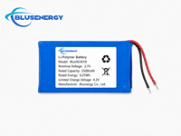 Batterie LiPo OEM 3,7 V 2500 mAh, rechargeable, avec fils, pour appareils intelligents, traceurs GPS et équipements médicaux