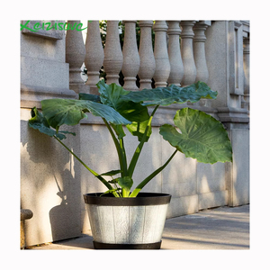 Chine <span class=keywords><strong>fabricant</strong></span> <span class=keywords><strong>bois</strong></span> pots de pot de fleur en <span class=keywords><strong>bois</strong></span> de whisky baril planteur - Product Image 1