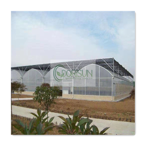 Semplice e facile da operare, che a <span class=keywords><strong>tutti</strong></span> piace usare la serra agricola Multi Span - Product Image 6
