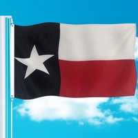 Bandeira americana do estado do eua 3x5 pés bandeira texas
